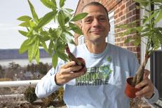 stephenritz_americanteacher