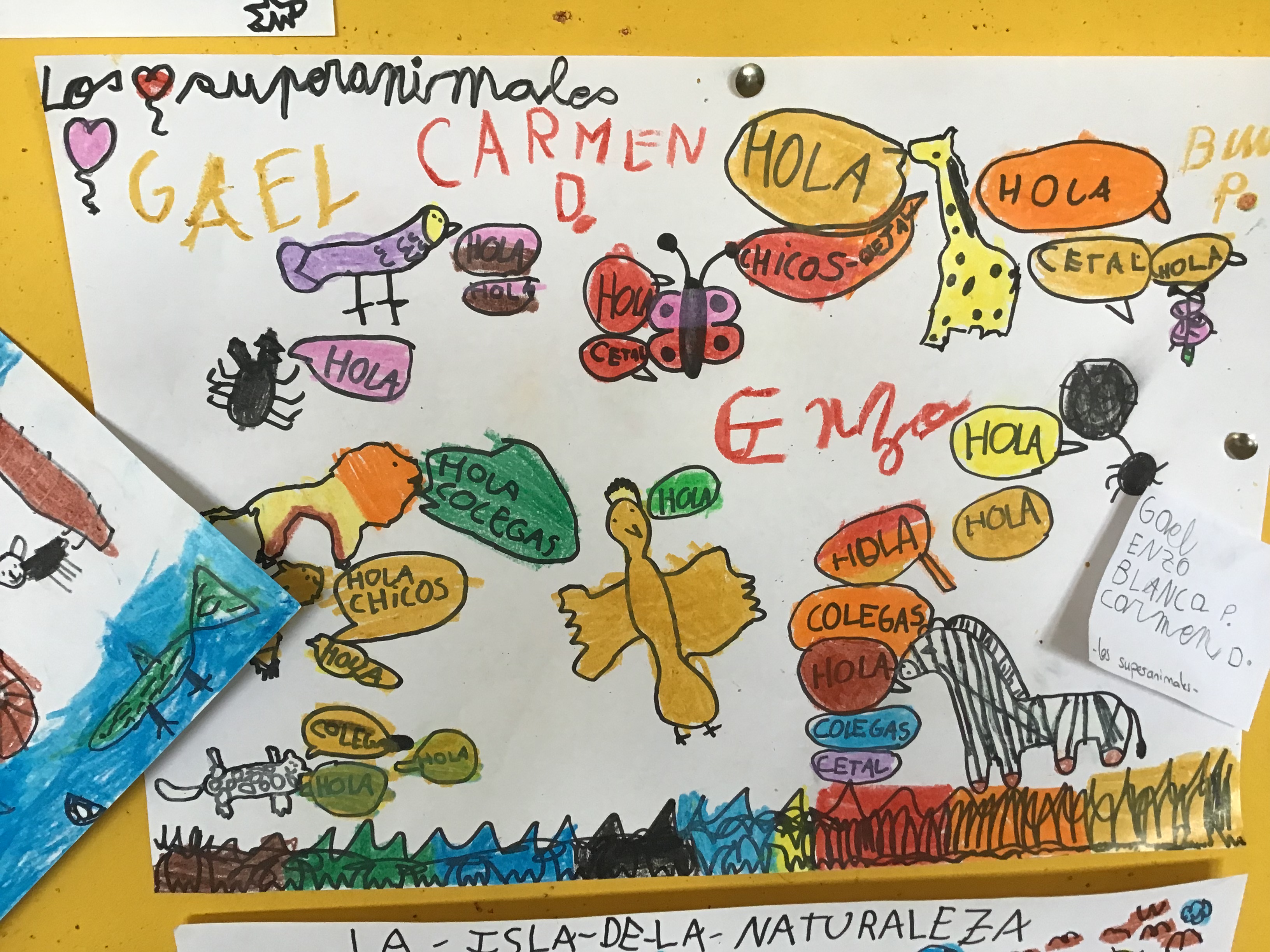 Mayo 2021, "Los Superanimales". 

En el 2º trimestre el proyecto "Animalarium" nos dejó muchos dibujos interesantes. Algunos individuales otros colectivos, como éste. Fruto del juego libre con figuras de animales nació este dibujo en una hoja de A3 donde detallaban la historia inventada en el Minimundo de la clase.
Fácil de ver la iniciación al cómic, la promoción de la escritura espontánea, la gran interacción oral que hay en el paso de antes y la fantasía que se desprende.