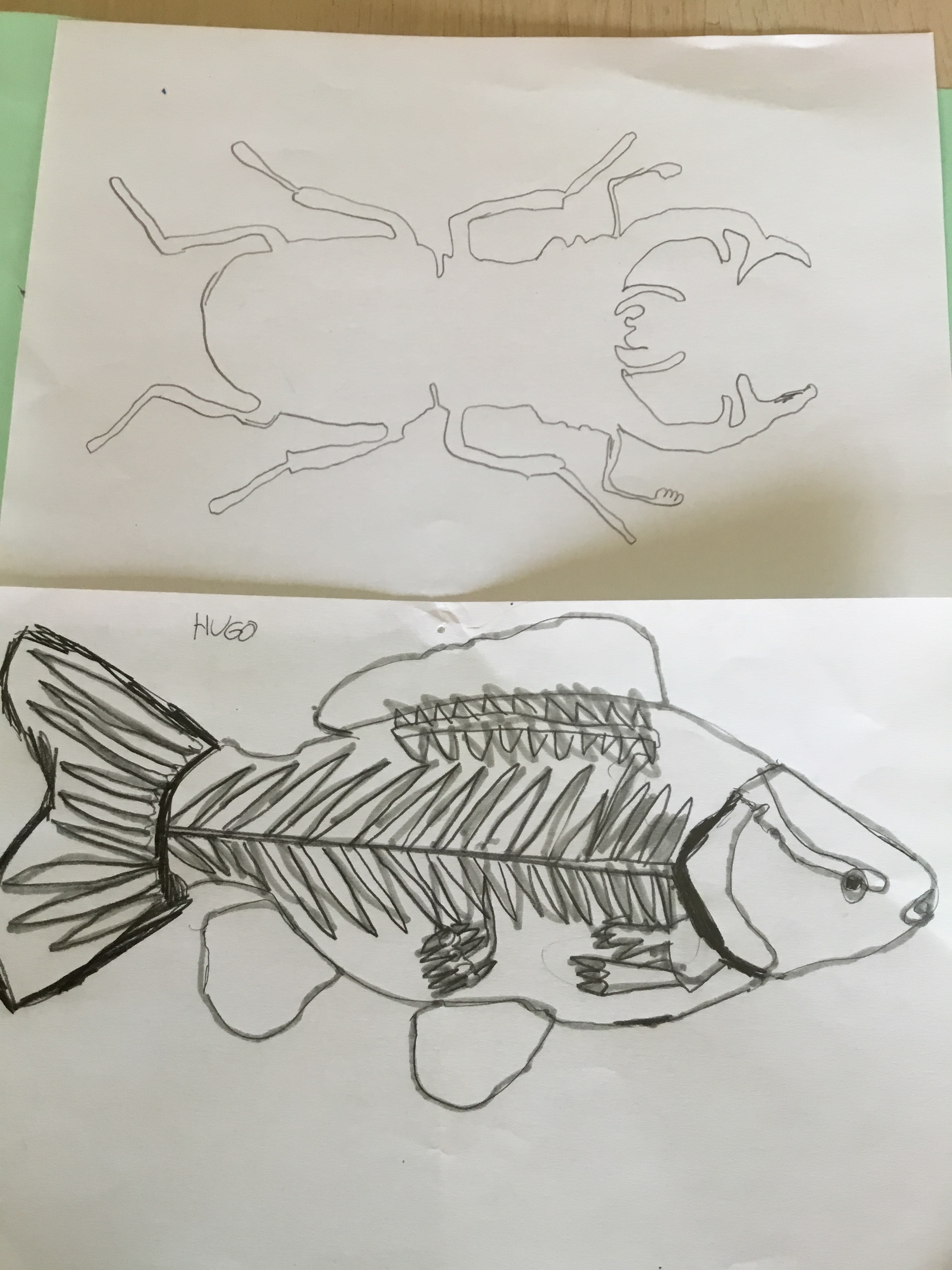 Marzo 2021, "Animales por dentro".

Calcar o copiar es una técnica difícil. Quizás frente a la creatividad se puede entender como la opción fácil peeeero la realidad es que no lo es. 
Requiere tiempo, paciencia, concentración y detenimiento. ¡Enhorabuena!